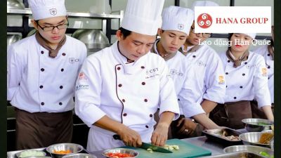 Tuyển lao động Nam - Nữ làm đầu bếp tại Hàn Quốc theo diện visa E7