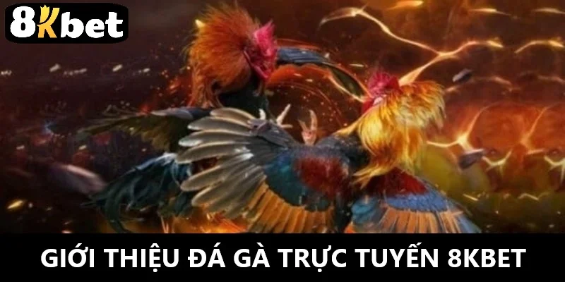 Tìm hiểu đá gà trực tuyến