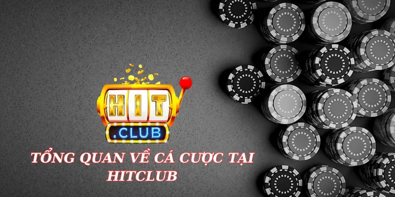 Tổng quan về cá cược hitclub